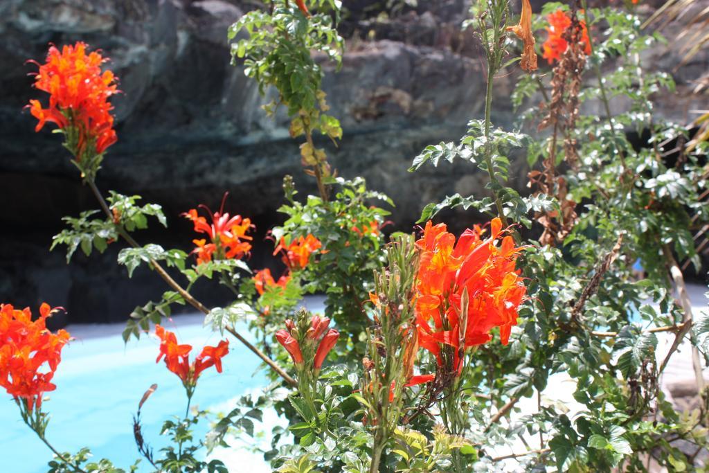 Casa Rural Finca Isabel Mozaga Ngoại thất bức ảnh